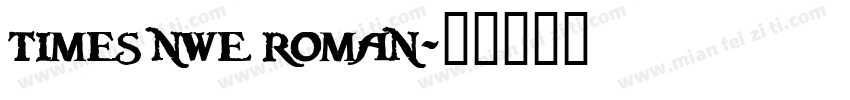 times nwe roman字体转换